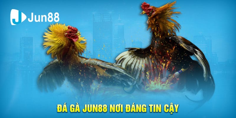 Đá Gà Jun88 Nơi Đáng Tin Cậy