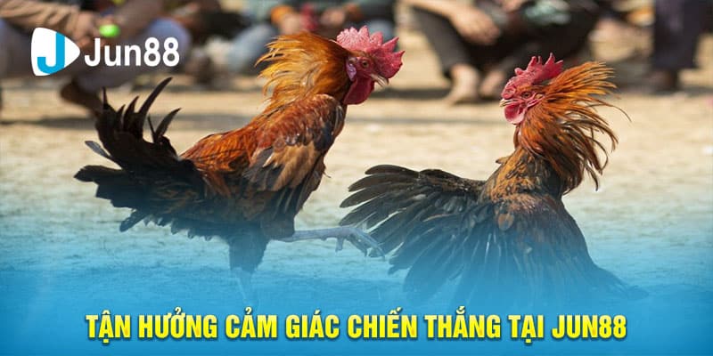 Tận Hưởng Cảm Giác Chiến Thắng Tại Jun88