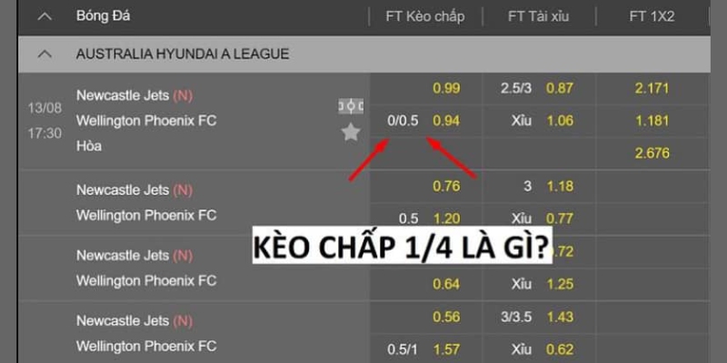 Kèo chấp 1/4 là kèo cược phổ thông trong bóng đá
